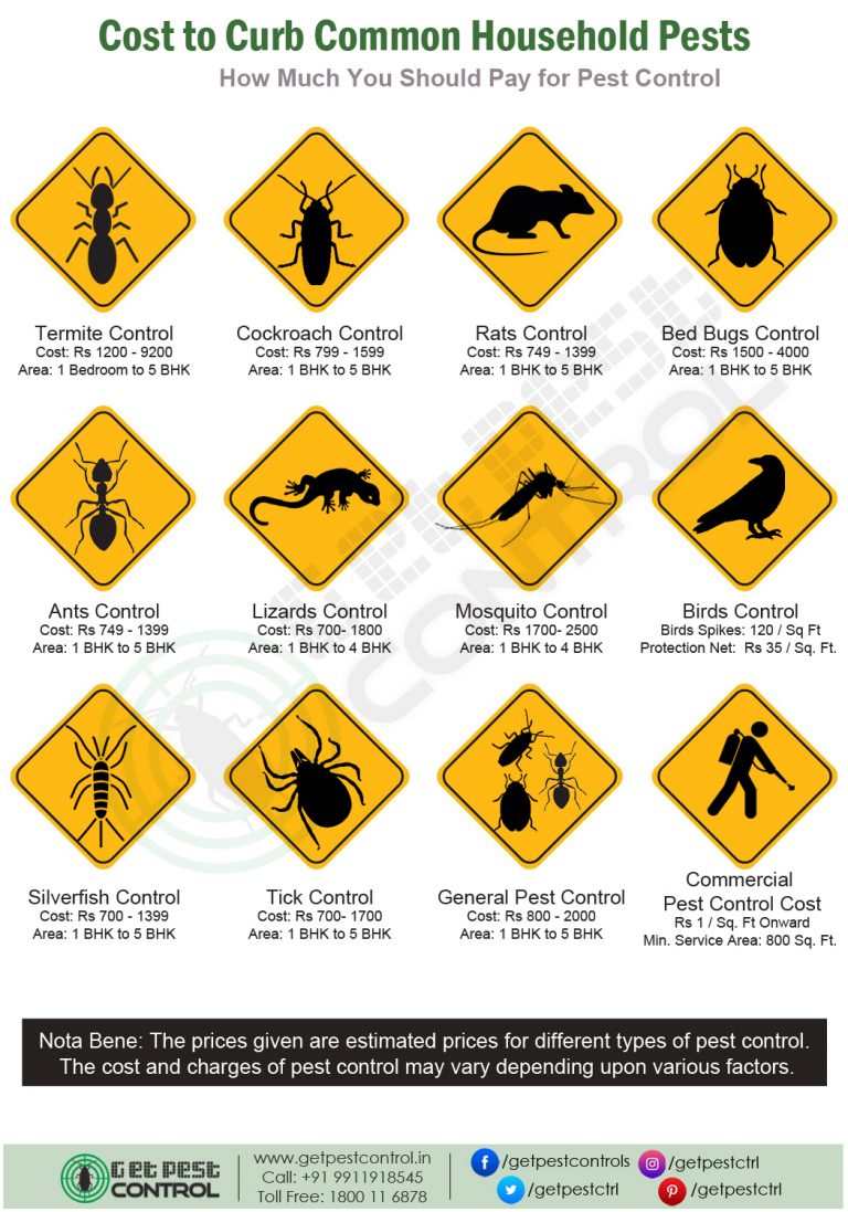 Pest Control Charges & Rates [Updated Price List for 2024]