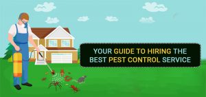 pest-control-service-hiring-guide