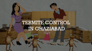 termite-control-gif-ghaziabad