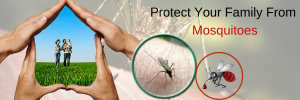 Protect Your Family from Mosquitoes