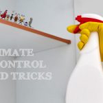 The Ultimate Pest Control Tips and Tricks