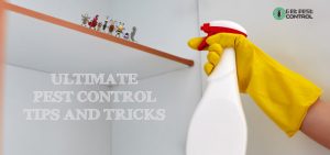 pest-control-tips-and-tricks
