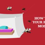 Tips to Get Rid of Mosquitoes - How to Protect Your Family from Mosquitoes?