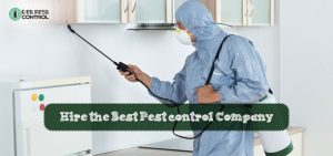 best-pest-control-company