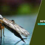 Summer Pest Control Tips: Do’s and Don’ts