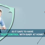 Is It Safe to Have Pest Control With Baby at Home?