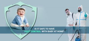 pest-control-with-baby-at-home