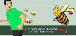 home-remedies-for-bee-stings