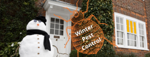 Winter Pest Control