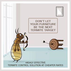 termite-control-services