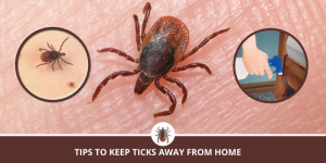 Tips to keep ticks away from Home