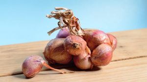 onions-to-get-rid-of-mice