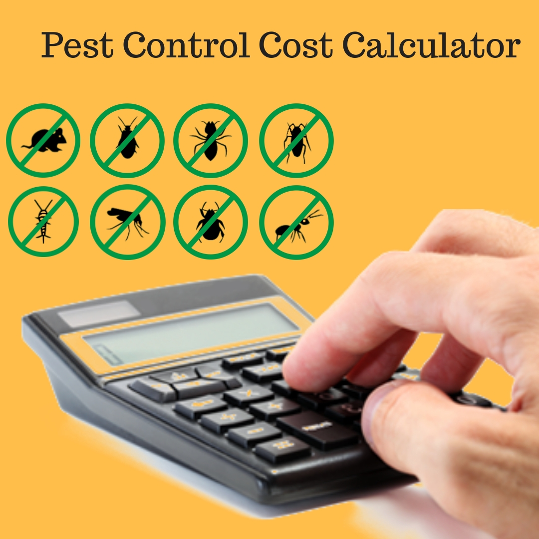 Pest Control Cost Calculator by Get Pest Control