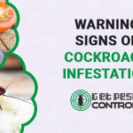 Top 5 Signs of Cockroach Infestation: Top Indicators That Tell If You Have Roaches