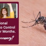 is-mosquito-control-necessary-in-winter