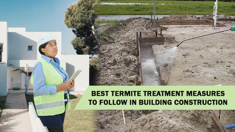 Best Termite Treatment Measures to Follow in Building Construction