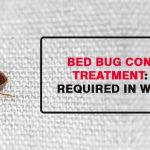 Bed Bug Control Treatment in Winter: Is It Required