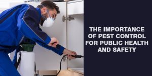 importance-of-pest-control
