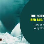 The Science Behind Bed Bug Treatment: How It Works and Why It's Effective