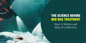 bed-bug-treatment
