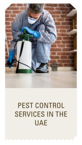 pest-control-in-uae