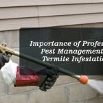 pest-mangement-for-termites