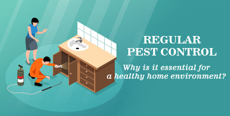 Why Regular Pest Control is Essential for a Healthy Home Environment