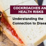 cockroaches-and-health-risks
