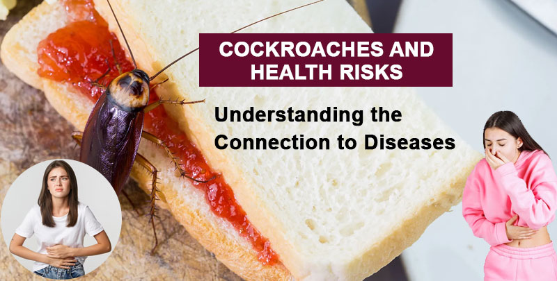 Cockroaches and Health Risks: Diseases Caused by Cockroaches