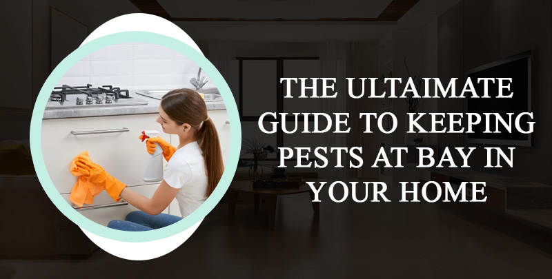The Ultimate Guide to Keeping Pests at Bay in Your Home