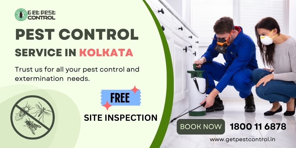 pest-control-services-in-kolkata