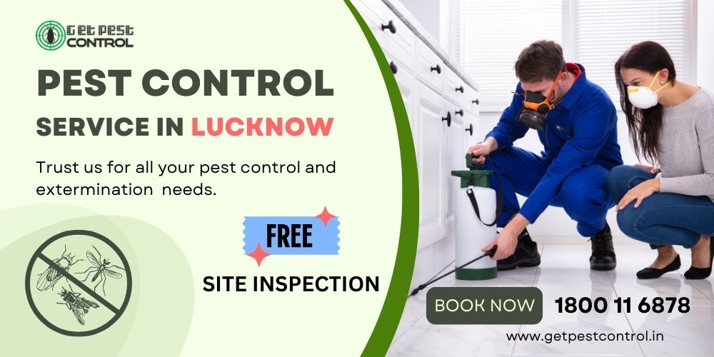 pest-control-services-in-lucknow