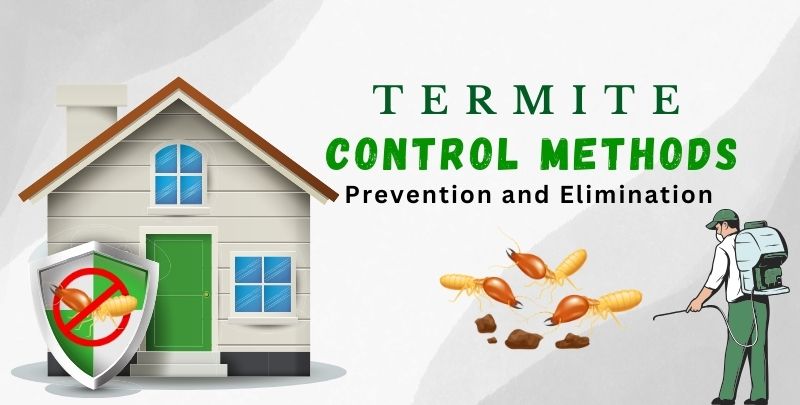 Termite Control Methods: Prevention and Elimination Tips