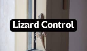 gpc-lizard-control