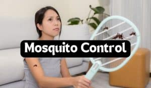 gpc-mosquito-control
