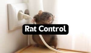 gpc-rat-removal