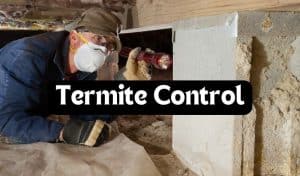 gpc-termite-treatment
