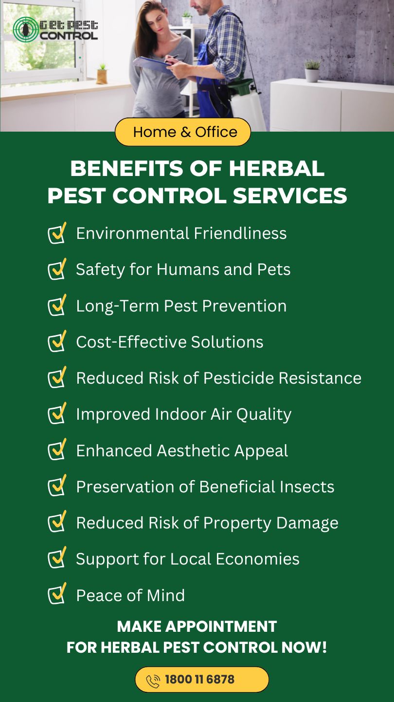 Herbal Pest Control Services | Organic Termite Solutions