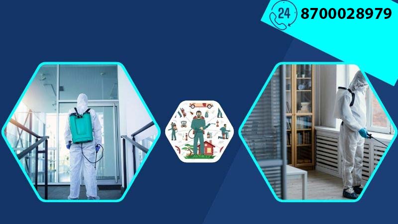 Pest-Control-Services-in-Chennai