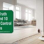 pest-control-myths