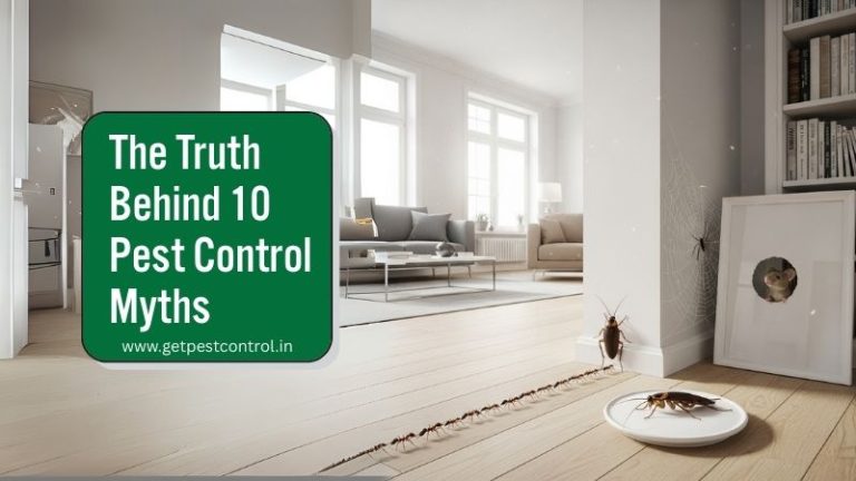 Pest control myths and facts illustration showing common misconceptions about pests and effective treatment methods