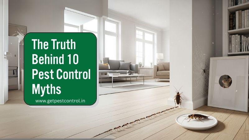 pest-control-myths