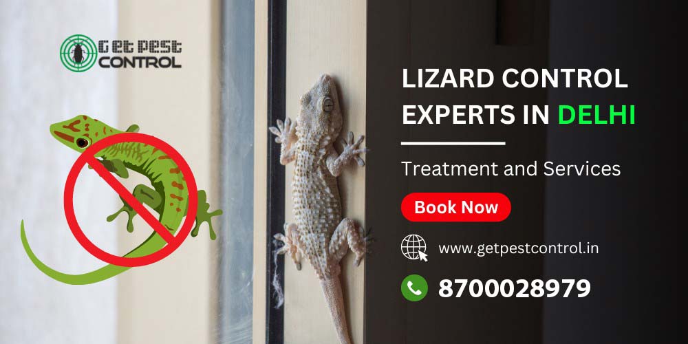 gpc-lizard-control-in-delhi