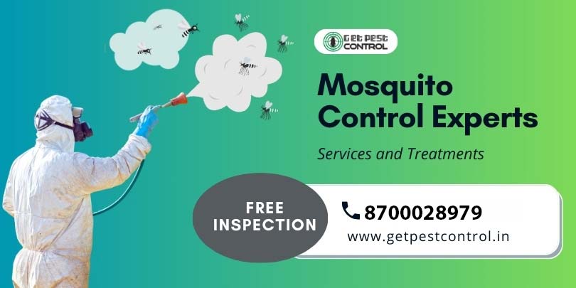 gpc-mosquito-control-experts