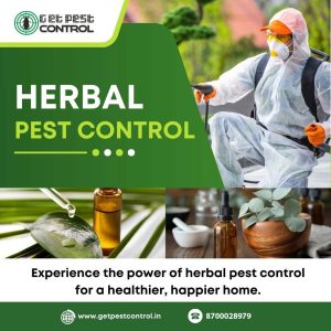 herbal-pest-control