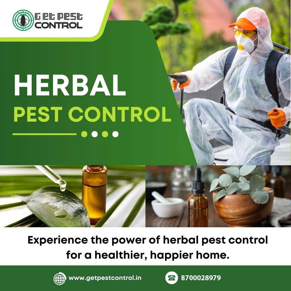 herbal-pest-control