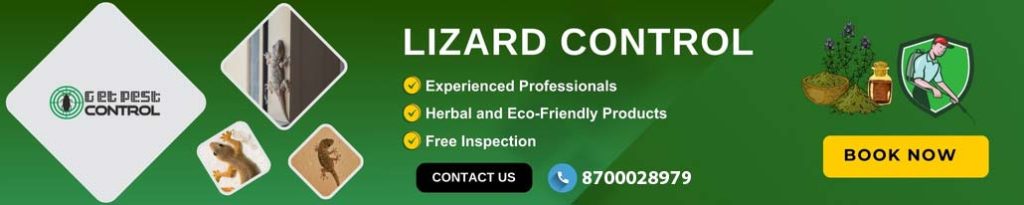 lizard-control-book-now