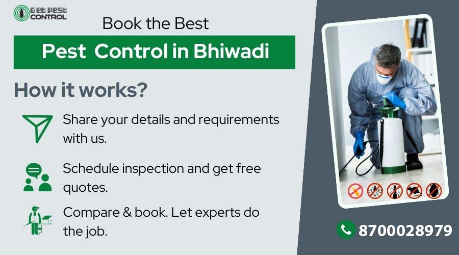 pest-control-in-bhiwadi