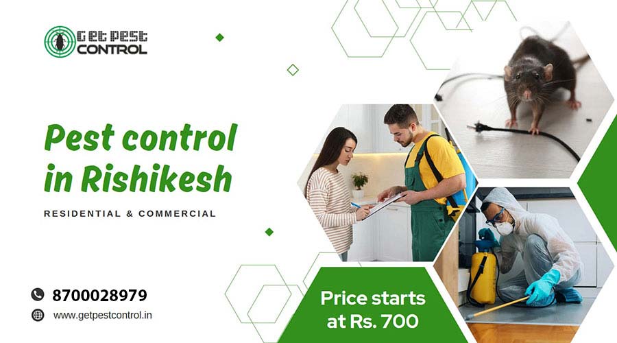 pest-control-in-rishikesh