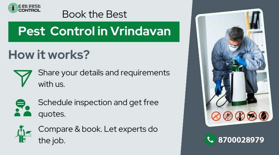 pest-control-in-vrindavan